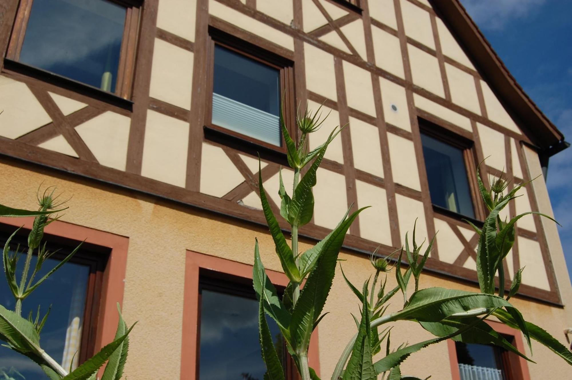 Gasthof Linden & Wildkraeuterhotel Windelsbach Εξωτερικό φωτογραφία